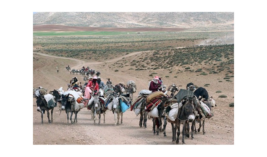 به منظور شناسایی متخلفین و جلوگیری از ورود غیر مجاز دام خصوصا شتر به تاغزارهای جنوب روستای صوفی آباد و بیابانک