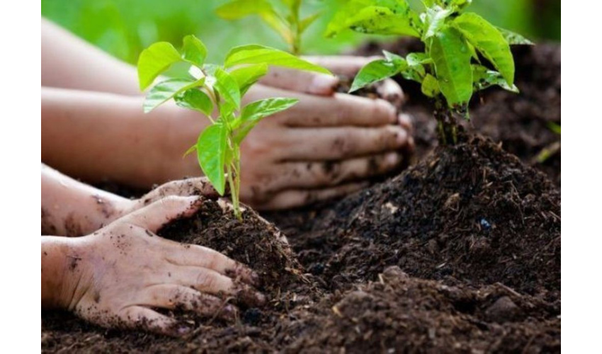 نقش کلیدی سازمان منابع طبیعی و آبخیزداری کشور در جذب سرمایه گذاران خارجی