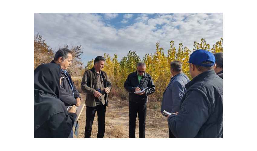 ۲۶ نهالستان جنگلی در مناطق هیرکانی کشور فعال هستند