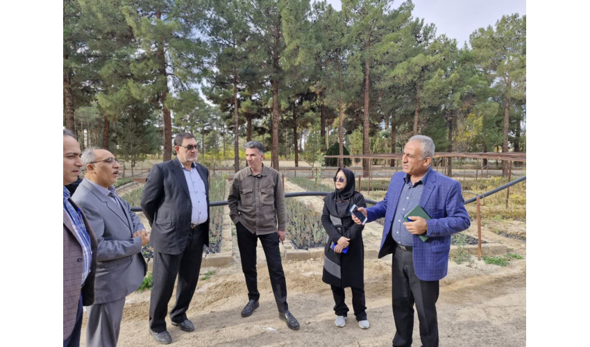 مصاحبه تفصیلی | چرا حال جنگل‌های ایران خوب نیست؟