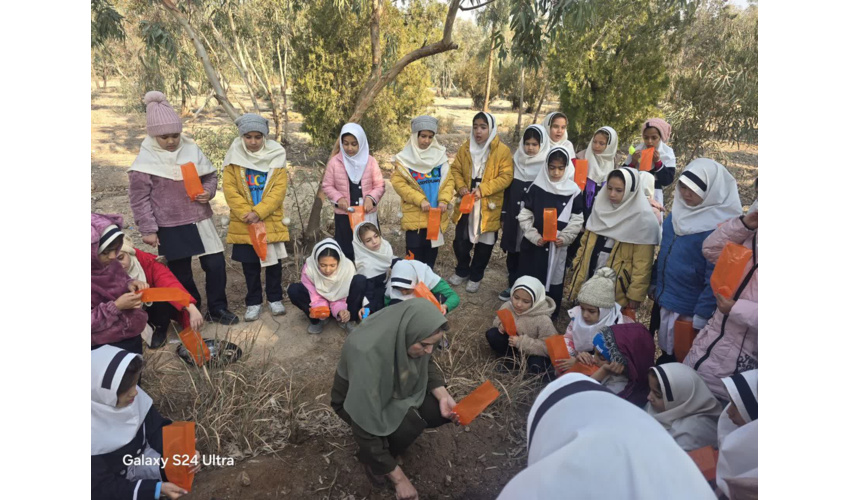 طرح شهید عنایت الله مرادی کلاس آموزشی کاشت نهال و بذر در پارک پروفسور کردوانی شهرستان گرمسار 