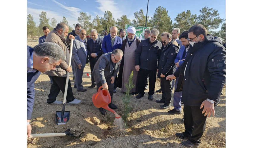 اجرای پویش درختکاری «در سایه مادر» در استان سمنان