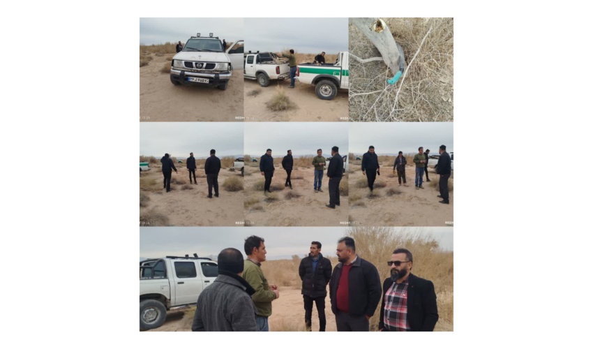 دستگیری دونفر از سودجویان قطع و برش چوب تاغ 