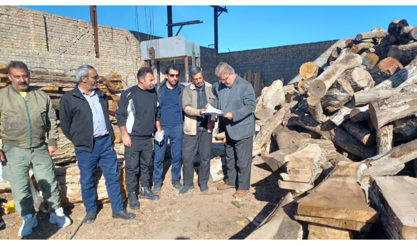 سرکشی و بازدید سر زده از کارگاههای چوب بری شهرستان شاهرود و کنترل پروانه حمل کارگاهها 