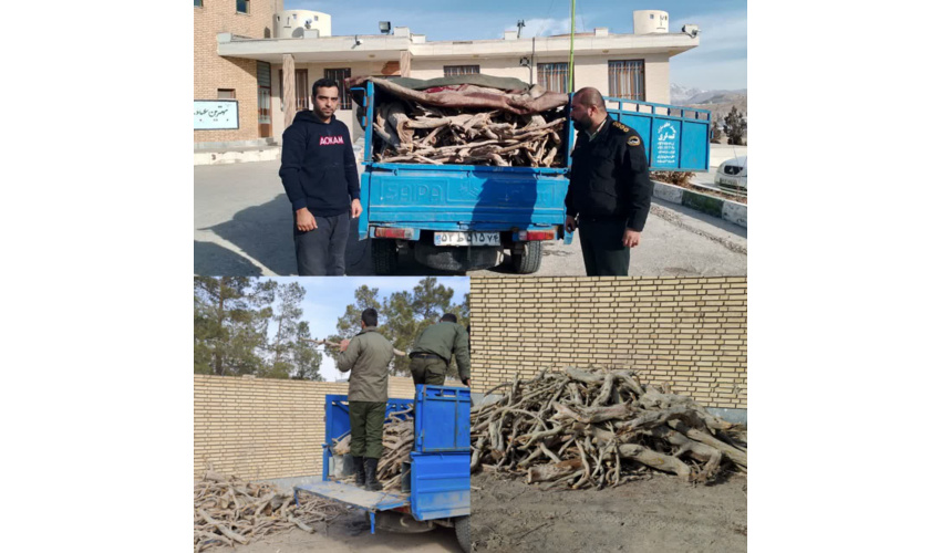 یک دستگاه خودروی نیسان حامل محموله چوب تاغ، درمنطقه افتر کشف و ضبط شد.