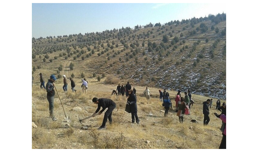 توجه به طرح کاشت یک میلیارد درخت با تولید ۸۰ هزار نهال اکالیپتوس در گرمسار