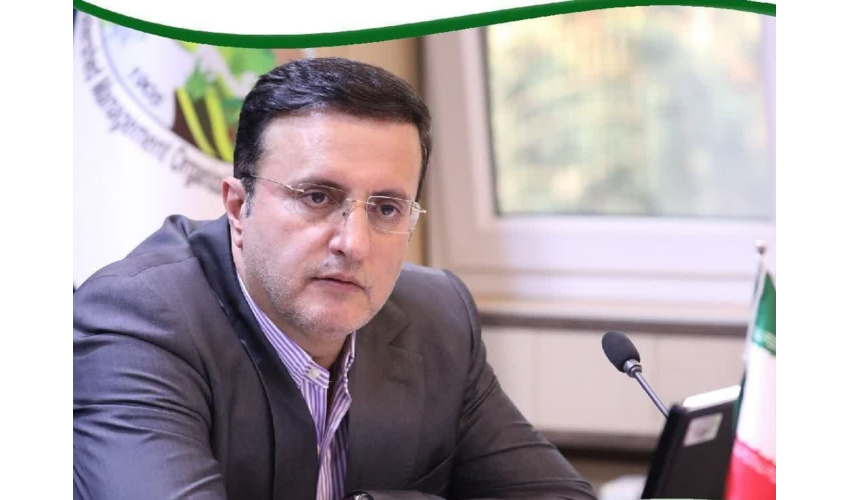 تیموری معاون وزیر و رئیس سازمان منابع طبیعی شد