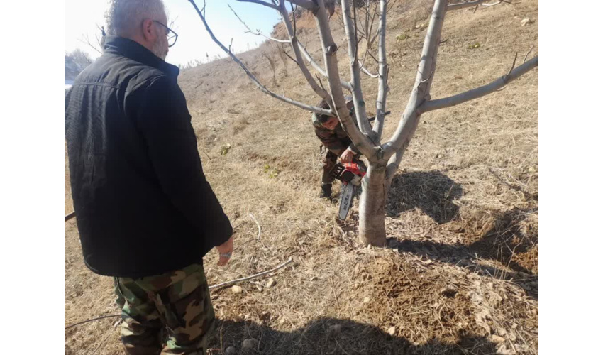 اجرای حکم قلع و قمع و رفع تصرف در اراضی ملی شهرستان میامی 