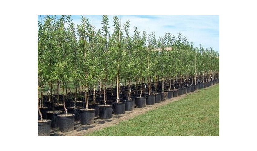 اعتبارات منابع طبیعی کشور ۴۲ درصد افزایش می‌یابد