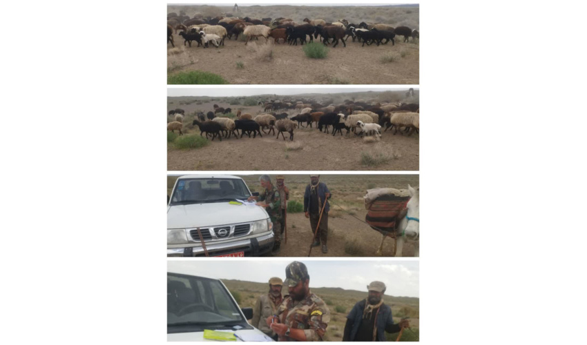 گشت و سرکشی از منطقه میاندشت شهرستان میامی