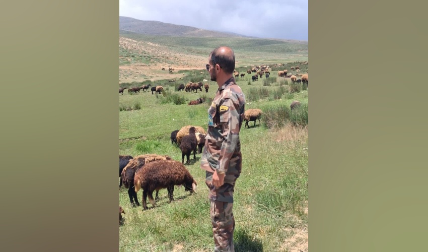 گشت و سرکشی در مرتع بغنه بزرگ شرقی