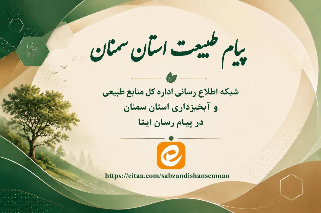 کانال‌های اطلاع‌رسانی در فضای مجازی