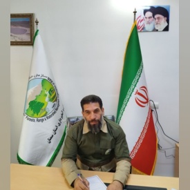 مرتضی شیرعلی