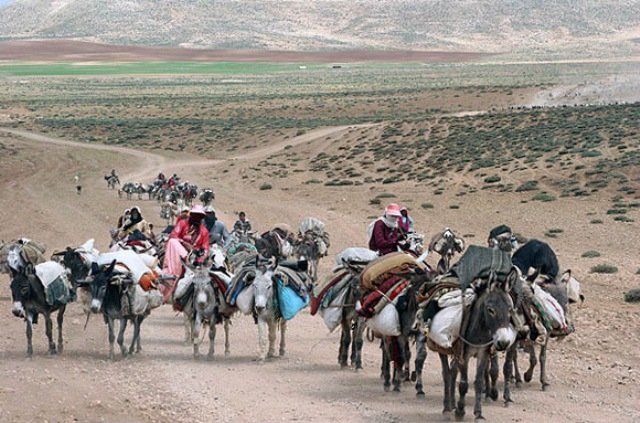 به منظور شناسایی متخلفین و جلوگیری از ورود غیر مجاز دام خصوصا شتر به تاغزارهای جنوب روستای صوفی آباد و بیابانک